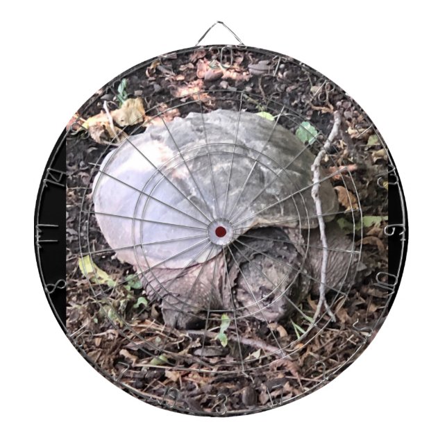Turtle Dartboard (Front)