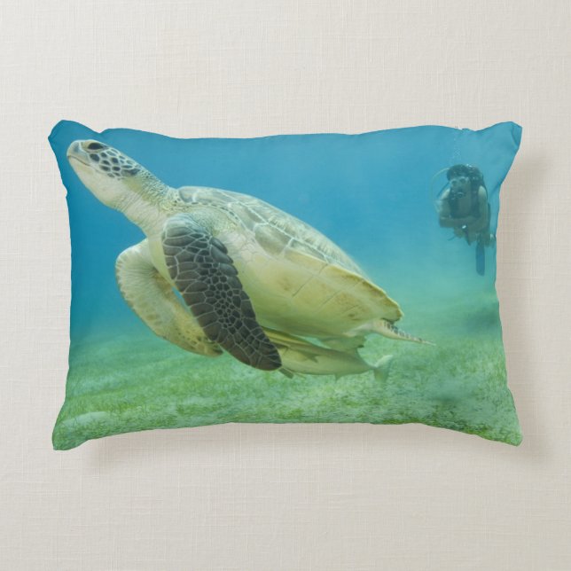 Turtle Decorative Cushion (Front)