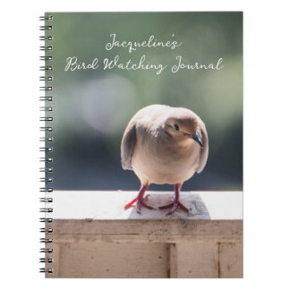 Turtle Dove on Ledge Bird Watching Notebook