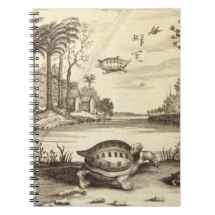 Turtle Eggs Hatching, from 'China Illustrated' by Notebook