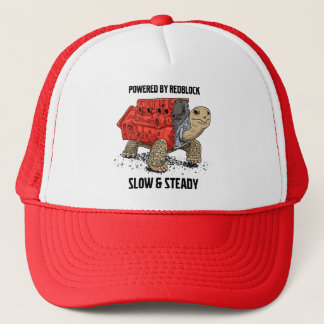 Turtle Engine Hat