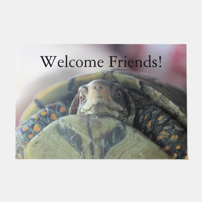 Turtle face doormat (Front)