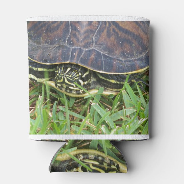 Turtle face peeking out of shell can cooler (Back)