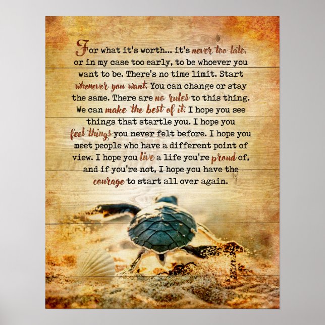 Turtle For What Inspirational & Motivational Poster (Front)