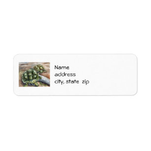 Turtle Friends Return Address Labels