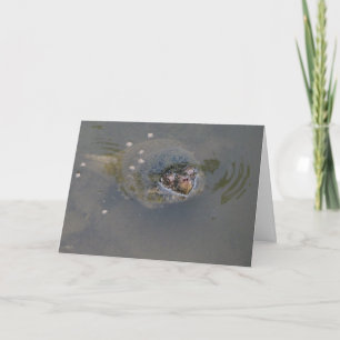 Turtle Greetings! Card