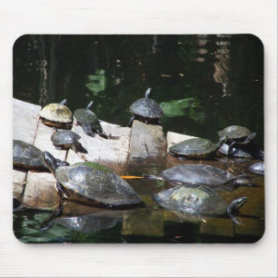 Turtle Heaven Mouse Mat