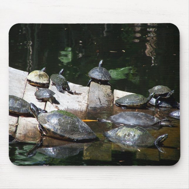 Turtle Heaven Mouse Mat (Front)