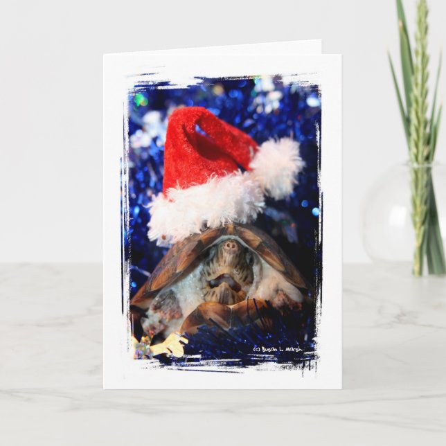 Turtle in Christmas Santa Hat Picture Holiday Card (Front)