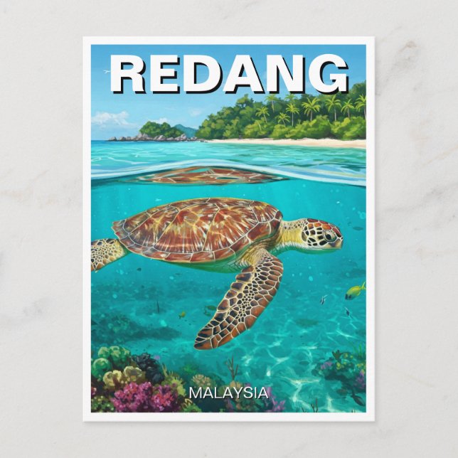 Turtle in Redang Malaysia Postcard (Front)
