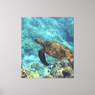 turtle in the sea canvas print