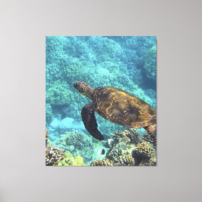 turtle in the sea canvas print (Front)