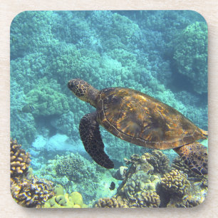 turtle in the sea coaster