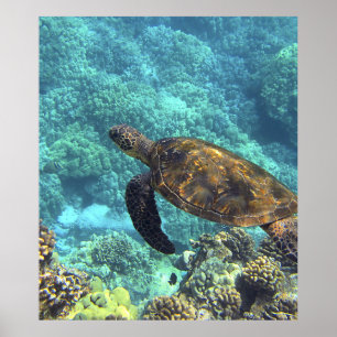 turtle in the sea poster
