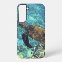 turtle in the sea