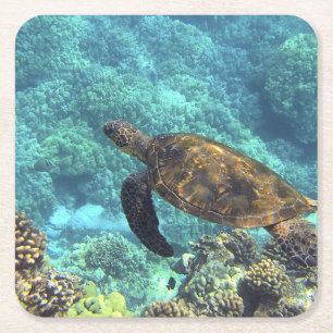 turtle in the sea square paper coaster