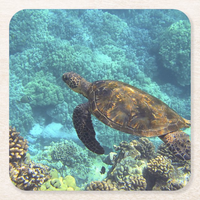 turtle in the sea square paper coaster (Front)