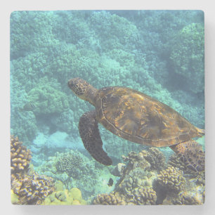 turtle in the sea stone coaster
