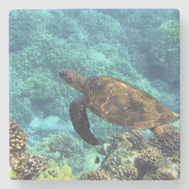 turtle in the sea stone coaster (Front)