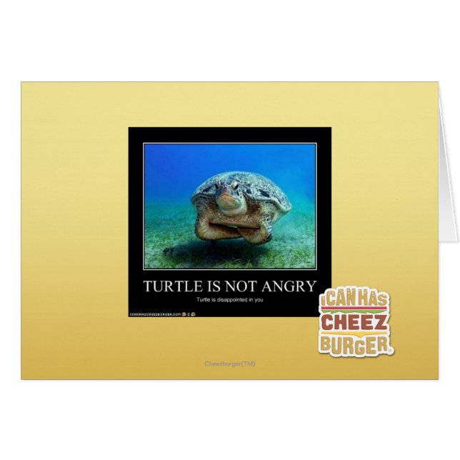 Turtle Is Not Angry (Front Horizontal)