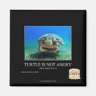 Turtle Is Not Angry Magnet