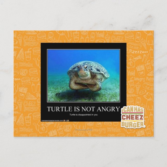 Turtle Is Not Angry Postcard (Front)