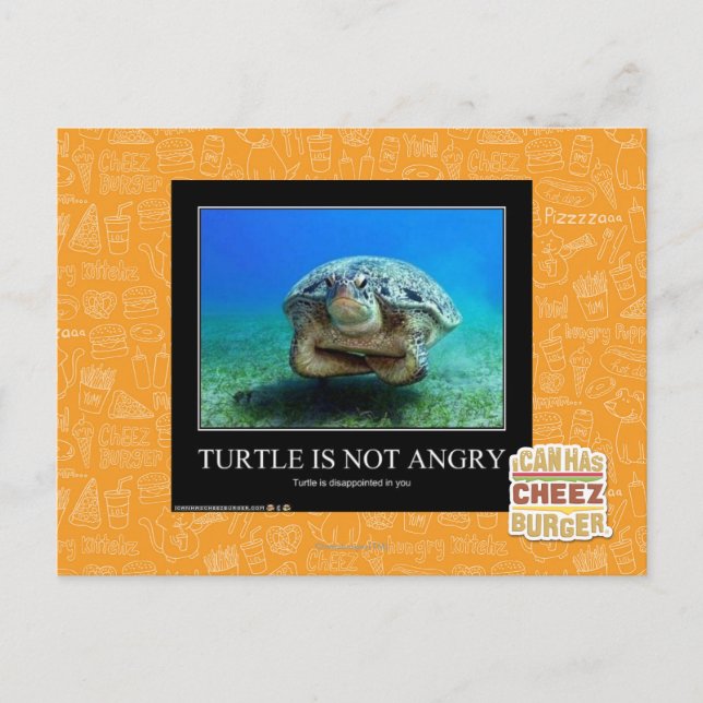 Turtle Is Not Angry Postcard (Front)