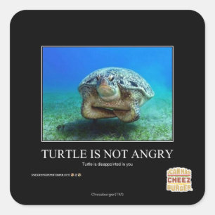 Turtle Is Not Angry Square Sticker