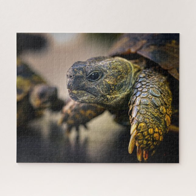 Turtle, Jigsaw Puzzle (Horizontal)