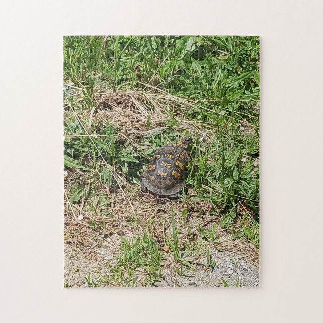 Turtle Jigsaw Puzzle (Vertical)