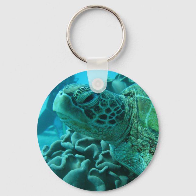 Turtle Key Ring (Front)
