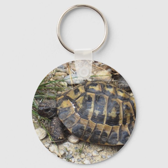 turtle key ring (Front)