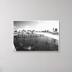 Turtle Lagoon Canvas Print