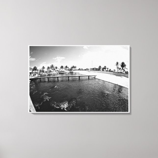 Turtle Lagoon Canvas Print (Front)