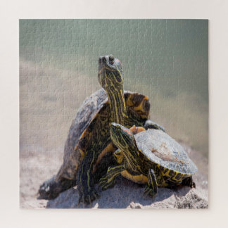 Turtle Love Jigsaw Puzzle