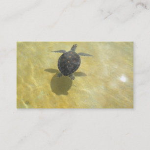 Turtle Lover Business Card