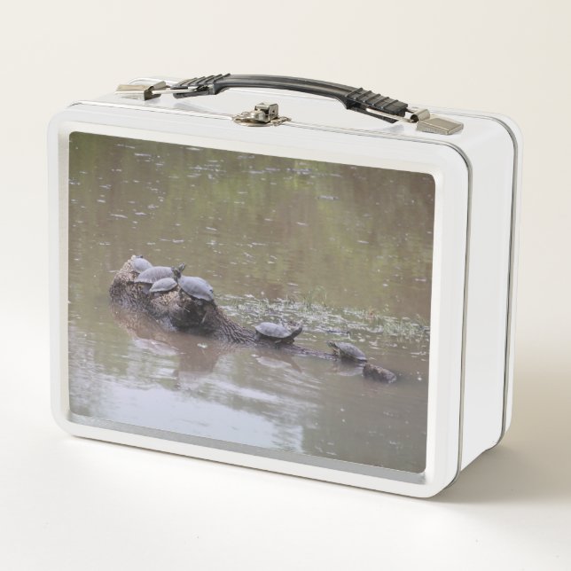Turtle Lunch Box (Front)