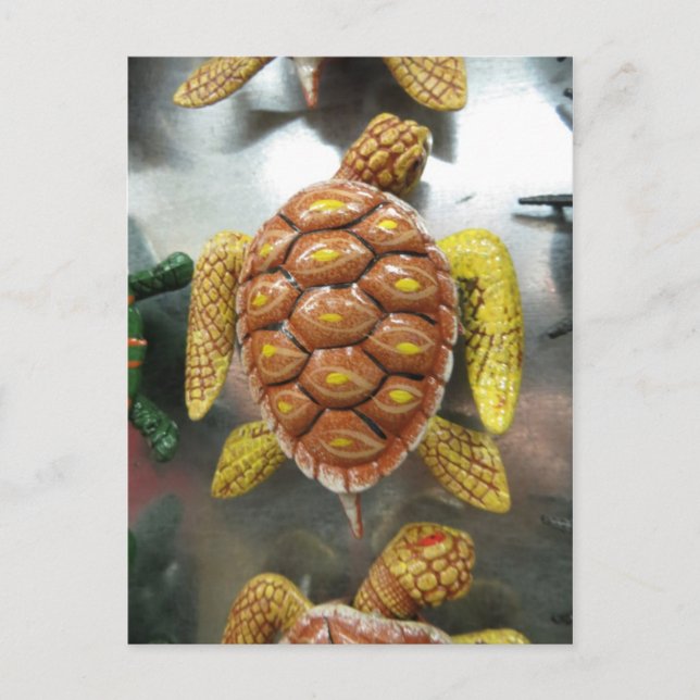 Turtle Magnet Postcard (Front)