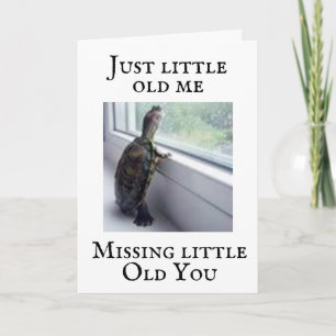 **TURTLE MISSES YOU ON YOUR BIRTHDAY** CARD