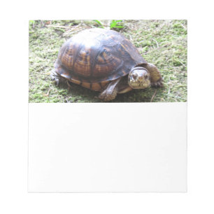 Turtle - Mossy Path Notepad