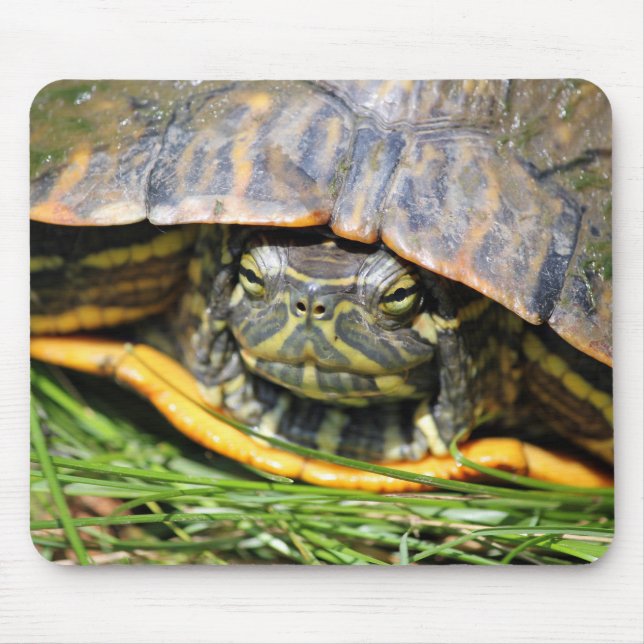 Turtle Mouse Mat (Front)