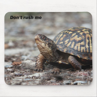 Turtle Mouse Mat