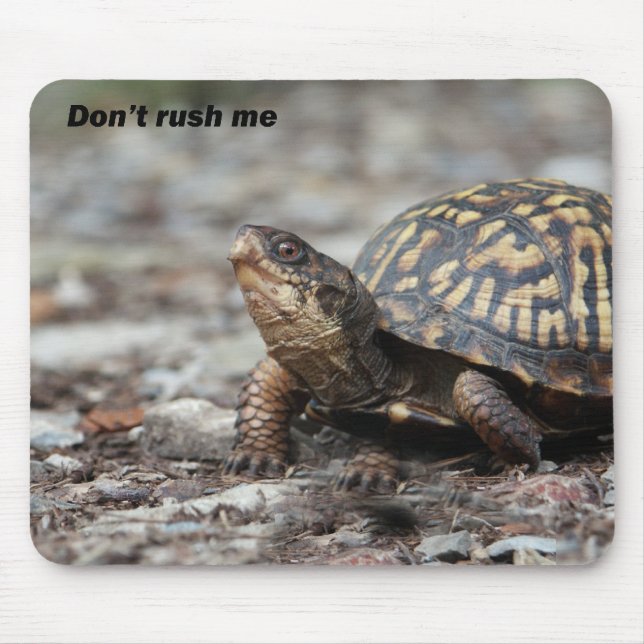 Turtle Mouse Mat (Front)