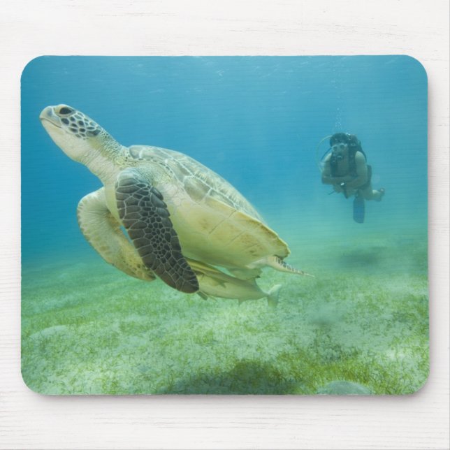 Turtle Mouse Mat (Front)