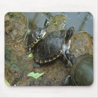 Turtle mouse pad
