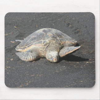Turtle Mousepad
