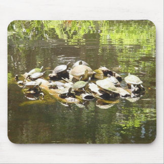 Turtle Networking... Mouse Mat