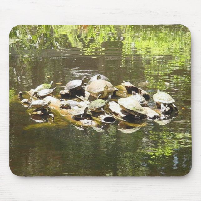 Turtle Networking... Mouse Mat (Front)