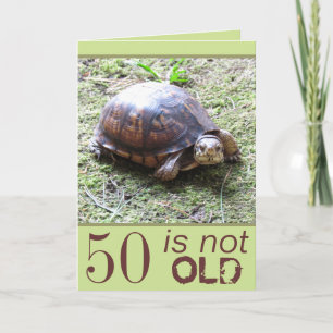 Turtle - Not Old -  Birthday Card