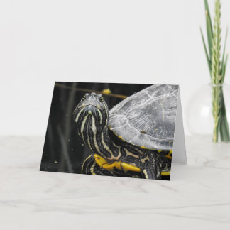 Turtle Notecard